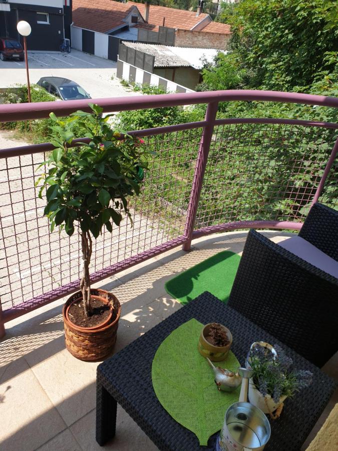 Lux Apartman Čačak 외부 사진